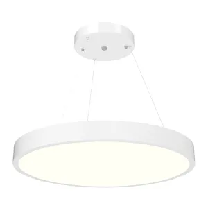 24 Inch LED Architectural Round Suspended Up/Down Panel Light