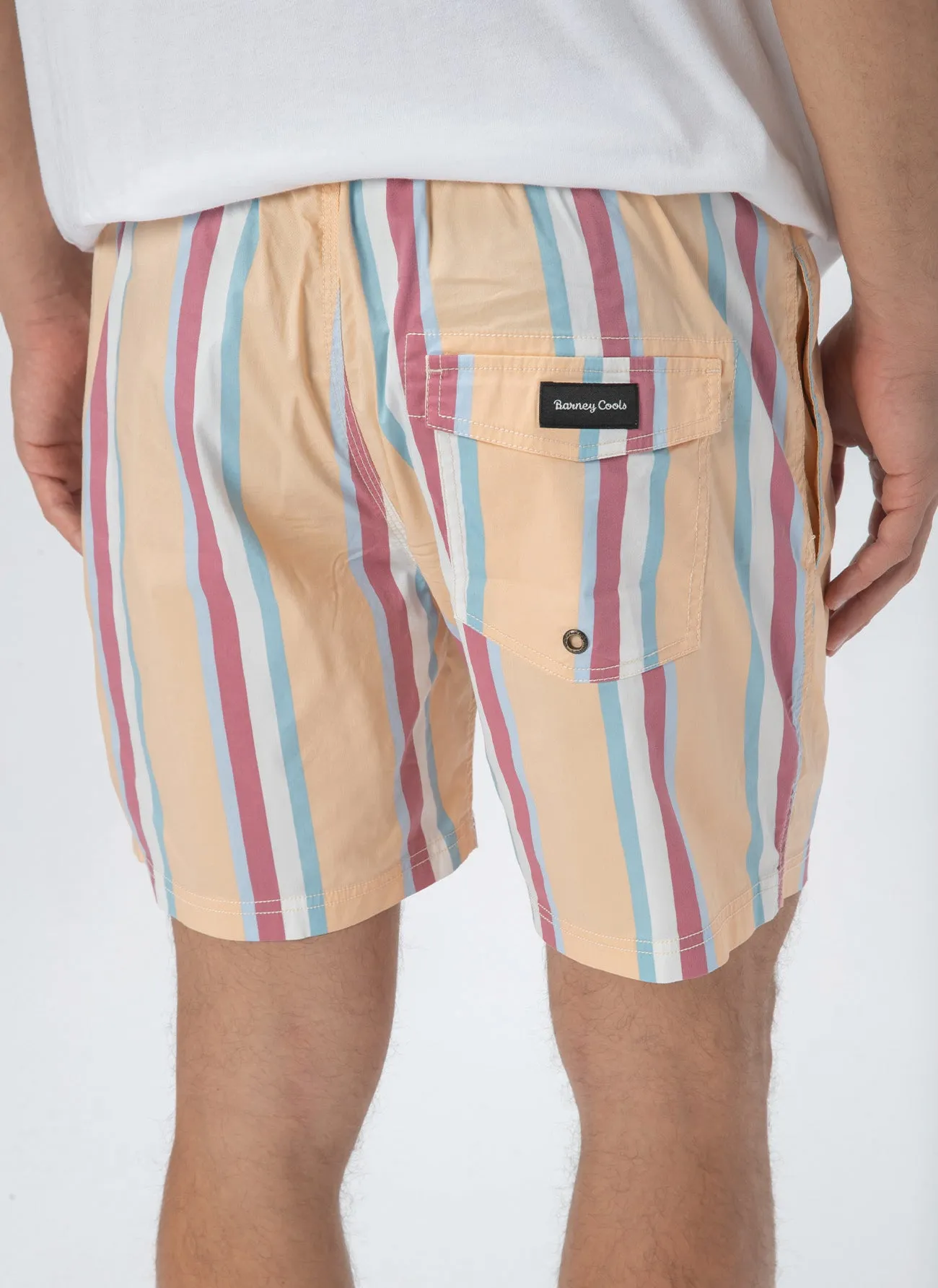 Amphibious 17" Swim  Short Mustard Vert Stripe